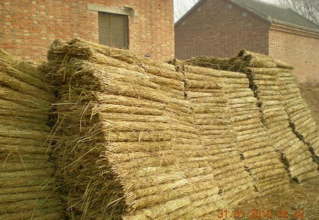 常年稻草墊 防護(hù)草墊 遮陰草墊 防滑草墊子（圖）