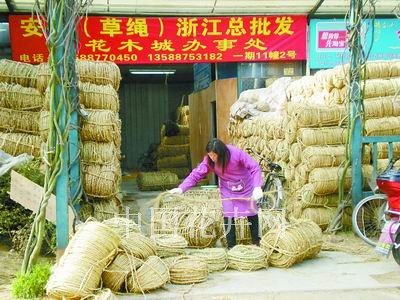 浙江：春季園林綠化施工高峰 草繩俏銷