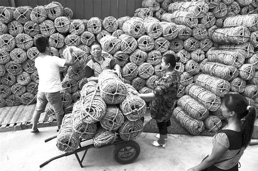 楚天金報(bào)訊 昨日，小編在武漢東湖花木城看到，用于給新栽樹(shù)木打箍以保持水分或溫度、提高成活率的草繩，銷售十分火爆。