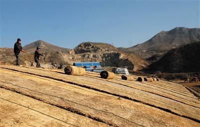 平定：大棚鋪設(shè)保暖草簾，冬季果蔬正常生長(zhǎng)