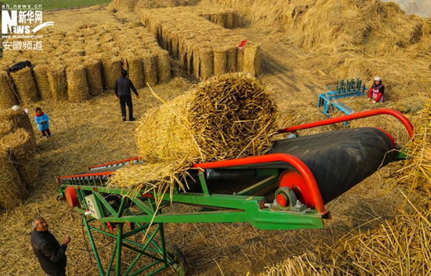 蚌埠農(nóng)民用廢棄稻草編織草簾 開創(chuàng)致富增收新門路（組圖）-