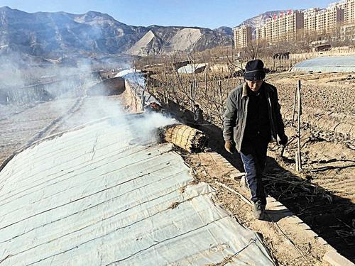 著火的是大棚土墻上的草簾