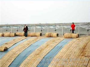 供應(yīng)優(yōu)質(zhì)品牌德鑫大型草簾加工設(shè)備 直銷大型大棚保溫草簾加工設(shè)備 德鑫草簾機