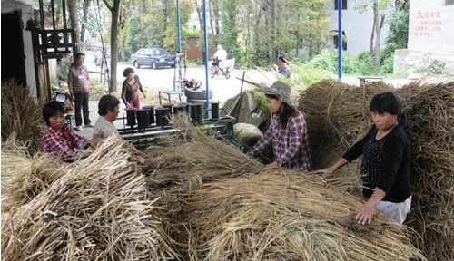 圖為該鎮(zhèn)草編大戶王海記草簾生產(chǎn)現(xiàn)場(chǎng)。