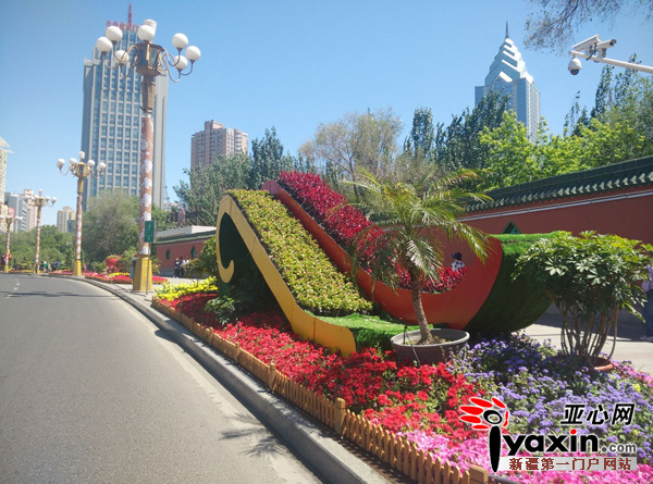 圖為：5月25日，烏市西大橋花堆擺放整齊有序。晨報(bào)全媒體記者胡大敏攝