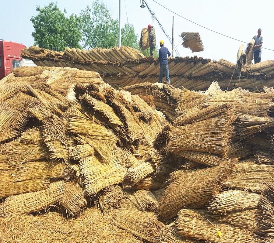 長期供應(yīng)  1.5米寬雙邊草簾  稻草簾 綠化草簾 一手貨源