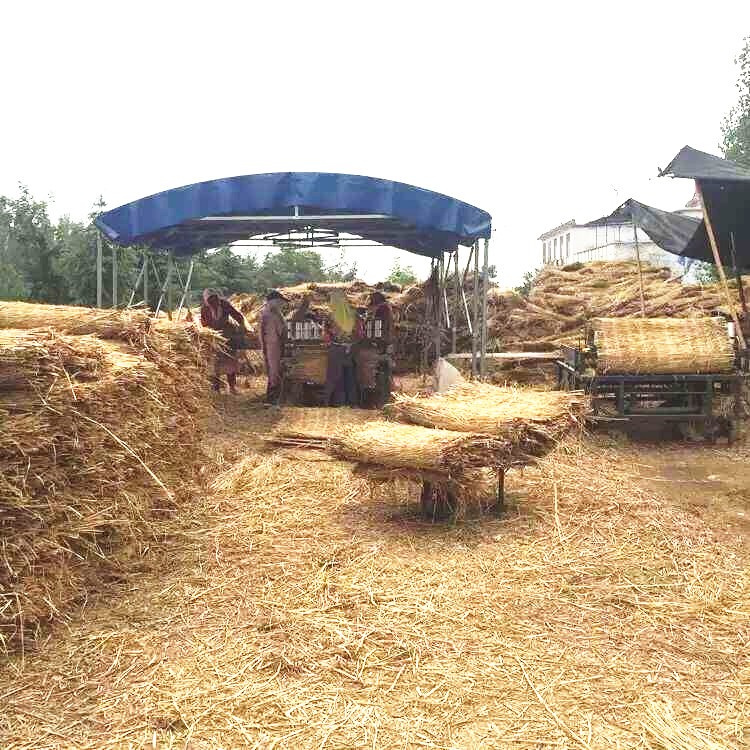 長期供應(yīng)  1.5米寬雙邊草簾  稻草簾 綠化草簾 一手貨源