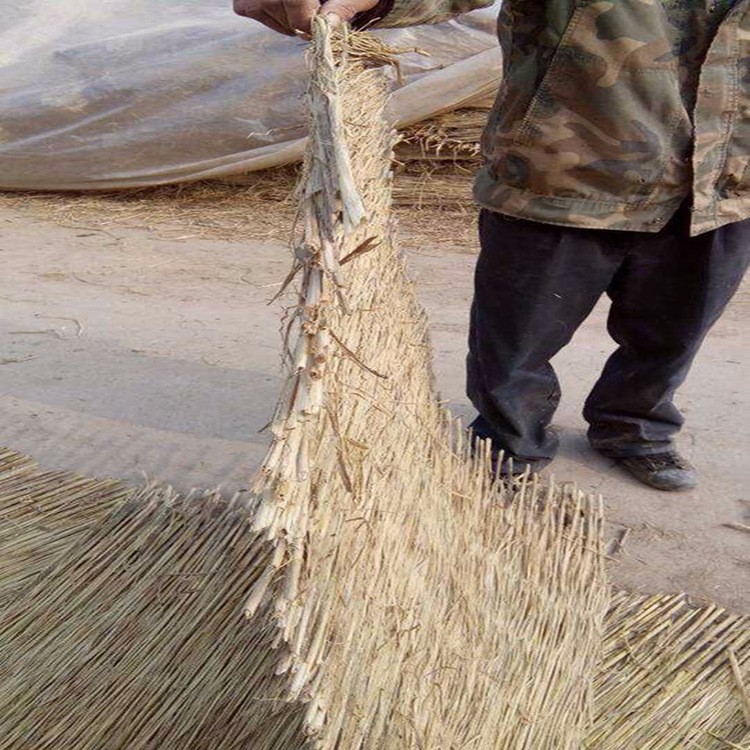 長期供應(yīng)  1.5米寬雙邊草簾  稻草簾 綠化草簾 一手貨源