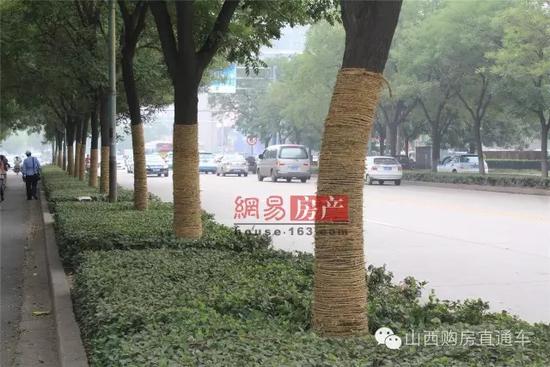 速度猛戳！獨(dú)家記錄漪汾街封閉改造工程前夕實(shí)景！