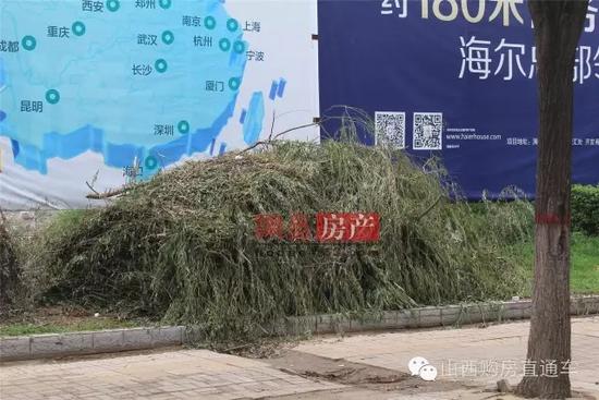 速度猛戳！獨(dú)家記錄漪汾街封閉改造工程前夕實(shí)景！