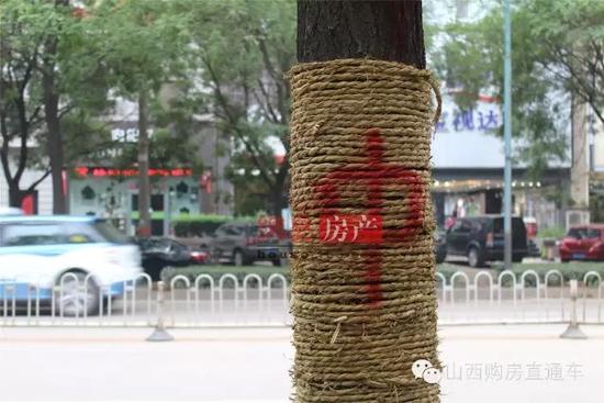 速度猛戳！獨(dú)家記錄漪汾街封閉改造工程前夕實(shí)景！