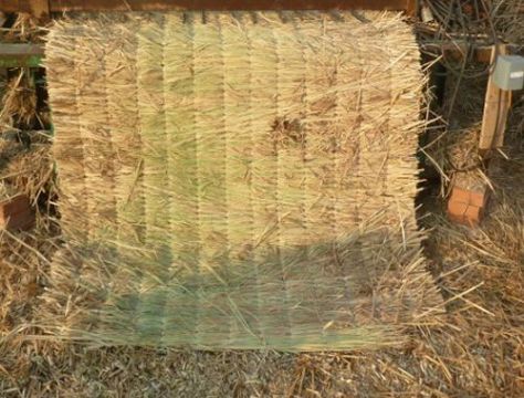 點(diǎn)擊查看詳細(xì)信息<br>標(biāo)題：草苫子 閱讀次數(shù)：397