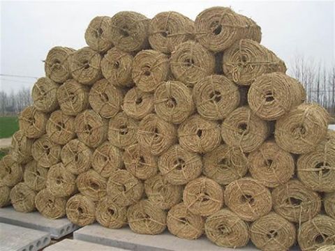 點(diǎn)擊查看詳細(xì)信息<br>標(biāo)題：草繩 閱讀次數(shù)：395