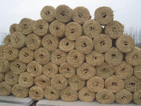 點(diǎn)擊查看詳細(xì)信息<br>標(biāo)題：草繩 閱讀次數(shù)：363