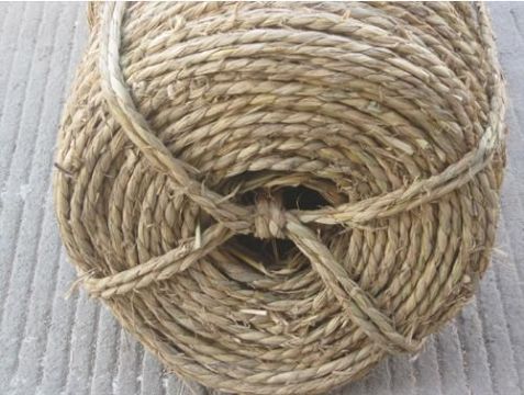 點(diǎn)擊查看詳細(xì)信息<br>標(biāo)題：草繩 閱讀次數(shù)：377