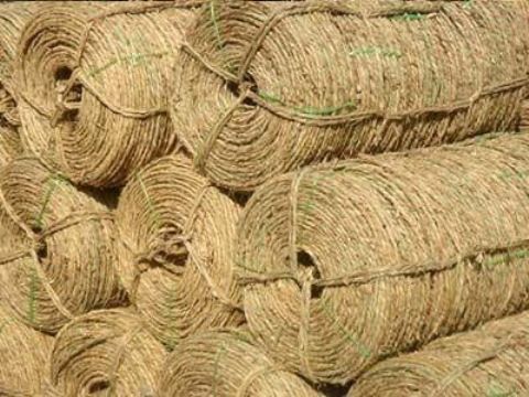 點(diǎn)擊查看詳細(xì)信息<br>標(biāo)題：草繩 閱讀次數(shù)：388