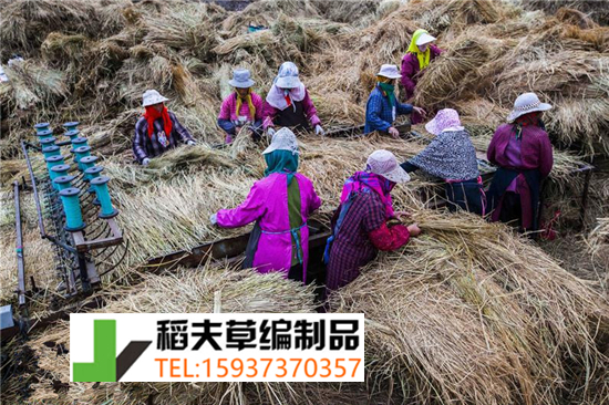 實(shí)拍農(nóng)民稻田收割后稻草的利用，編織成草簾子發(fā)往全國(guó)各地
