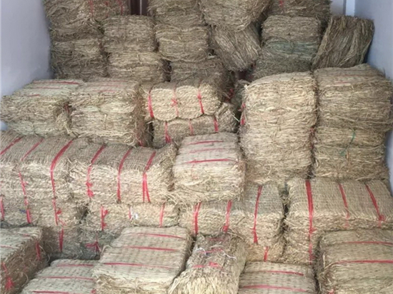 環(huán)保先鋒：綠化草袋引領(lǐng)城市可持續(xù)發(fā)展的新方???