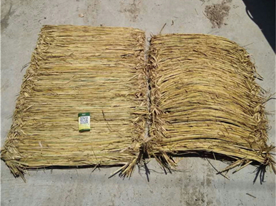 護(hù)坡草袋：可持續(xù)發(fā)展的生態(tài)保護(hù)方式