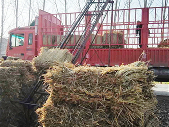 護坡草袋：穩(wěn)定土壤，促進植物生長的引領(lǐng)者