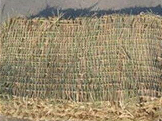 環(huán)保先鋒：綠化草袋引領(lǐng)城市可持續(xù)發(fā)展的新方???