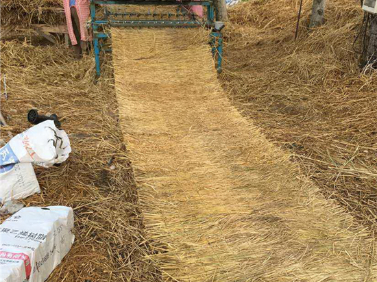 鋪路草苫：打造美麗環(huán)境的綠色道路材料