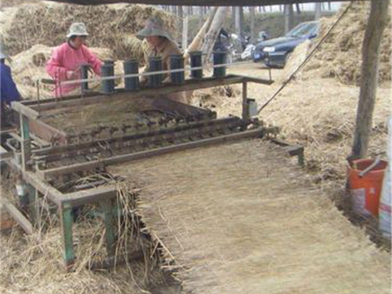 護(hù)坡草簾：保護(hù)水源，守護(hù)清澈河流的生態(tài)屏障