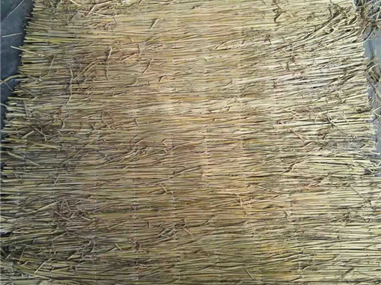 煤礦草簾：綠色革命下的煤礦產(chǎn)業(yè)發(fā)展