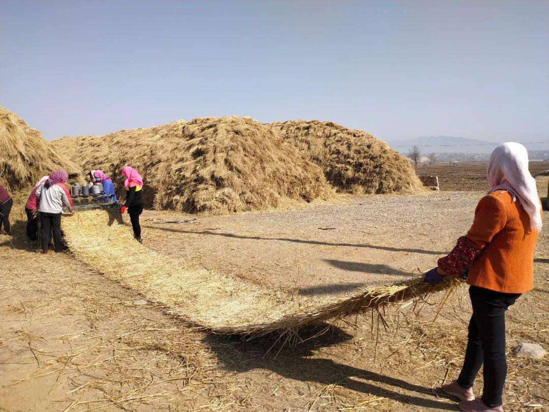 煤礦草簾：保護(hù)自然生態(tài)，推動(dòng)礦區(qū)可持續(xù)發(fā)展