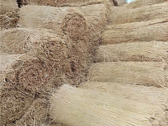 護(hù)坡草簾：保護(hù)水源，守護(hù)清澈河流的生態(tài)屏障