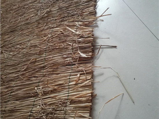 煤礦草苫：提升采煤工藝效率的重要裝備研究成果