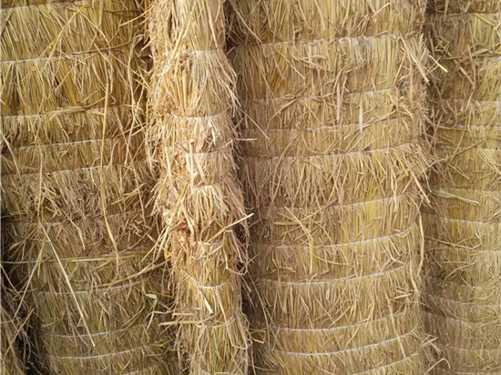 煤礦草苫對礦井空氣質(zhì)量的影響研究成果分享