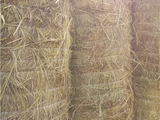 鋪路草苫：打造美麗環(huán)境的綠色道路材料