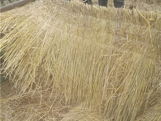 草簾在鐵路運輸中的重要應(yīng)用