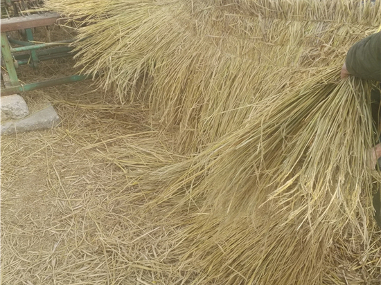 煤礦草簾：開創(chuàng)綠色礦業(yè)新時代