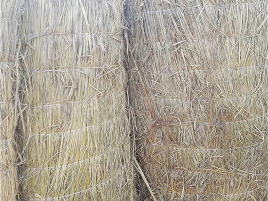 鐵路草苫：交通發(fā)展格局，推動經(jīng)濟社會高質(zhì)量發(fā)展！