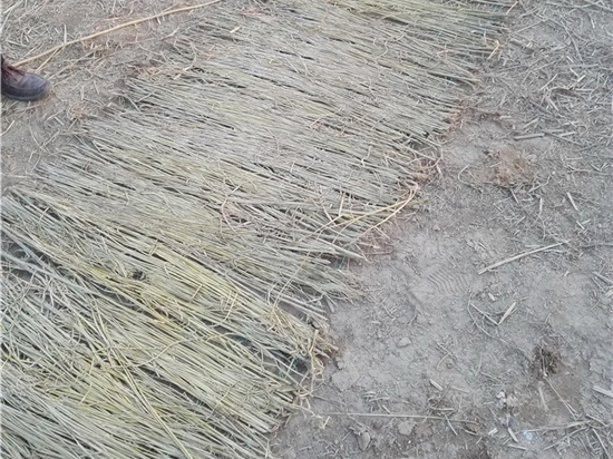 選擇草苫廠家的實(shí)用指南：從定價(jià)到交貨時(shí)間的全面考量