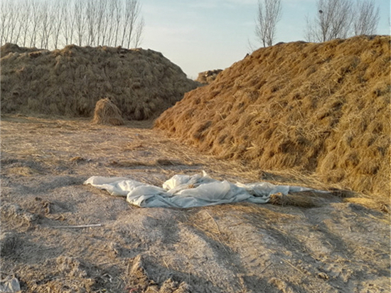 農(nóng)田覆蓋草苫規(guī)格選擇指南：如何選購更適合的尺寸？