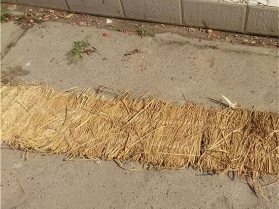 鐵路草苫：做好地方經(jīng)濟轉(zhuǎn)型升級的重要載體！