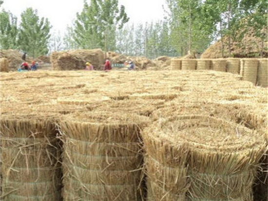 煤礦草苫對礦井溫度的調(diào)控作用新發(fā)現(xiàn)