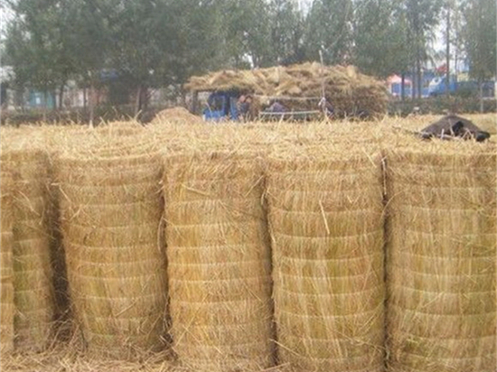 挑選草簾廠的五大技巧