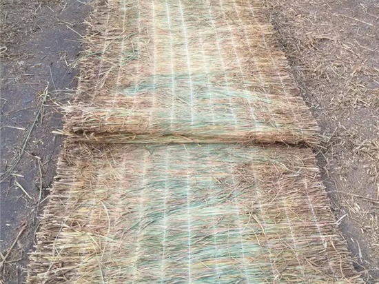 草苫加工技術(shù)：創(chuàng)新農(nóng)業(yè)生產(chǎn)模式的必然選擇