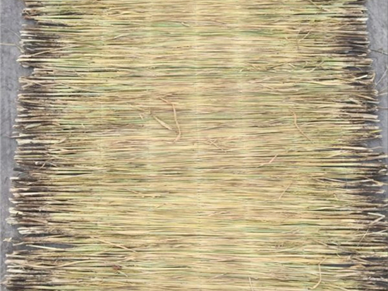 草苫廠選擇：重要性及影響因素的全面分析