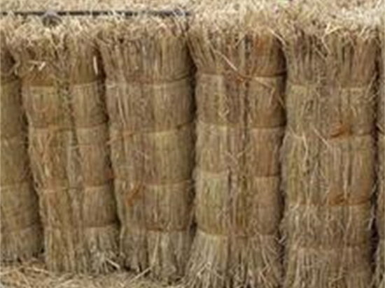 護(hù)坡草簾：為城市增添自然生機(jī)與活力