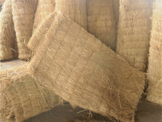 草苫種植與采集的合理規(guī)劃與管理！