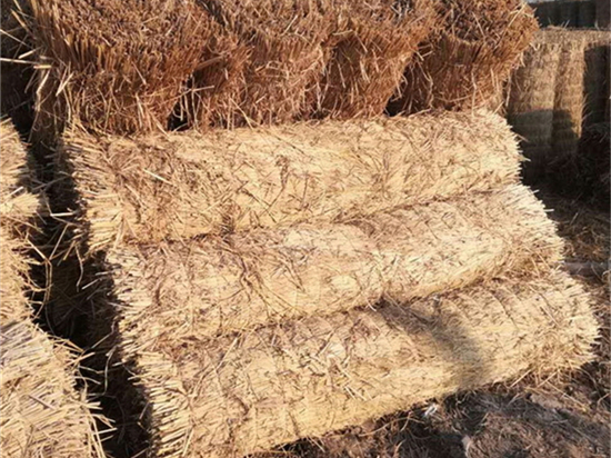 鐵路草簾：賦予鐵路沿線景觀新意義