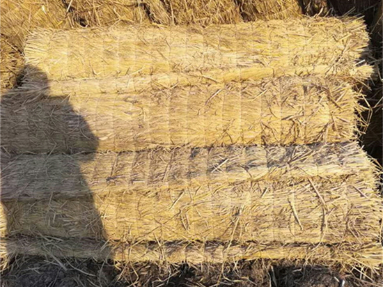 煤礦草苫：提升采煤工藝效率的重要裝備研究成果