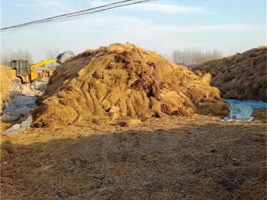 鐵路草簾的美學設(shè)計與建設(shè)技術(shù)