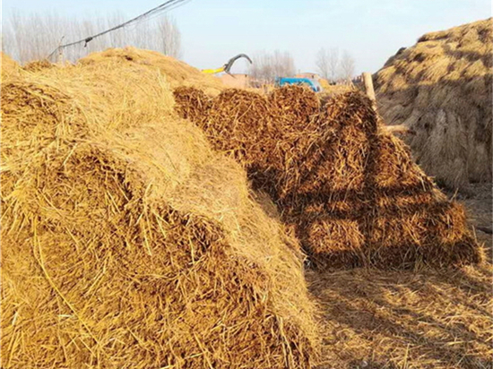 如何根據(jù)防腐性能選擇草苫規(guī)格？助您選購耐用產(chǎn)品