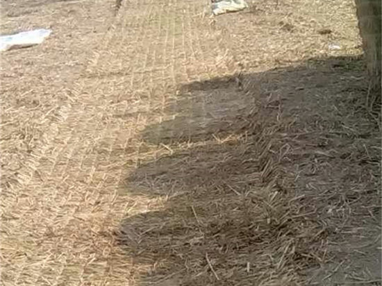 鋪路草苫：打造美麗環(huán)境的綠色道路材料